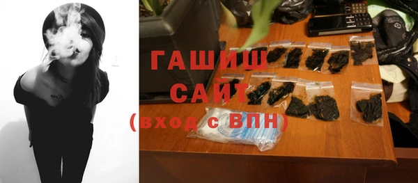 стаф Алзамай