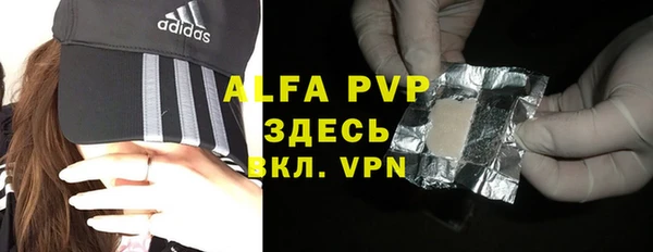 стаф Алзамай