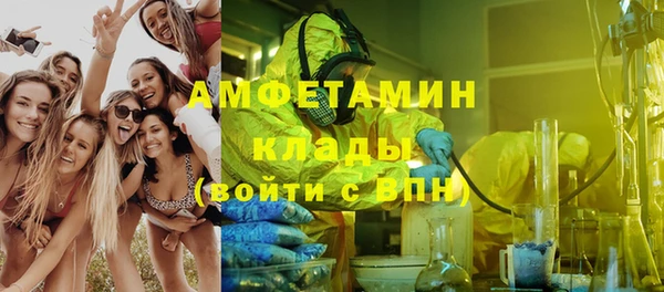 стаф Алзамай