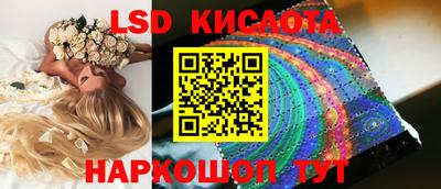 шишки Кохма