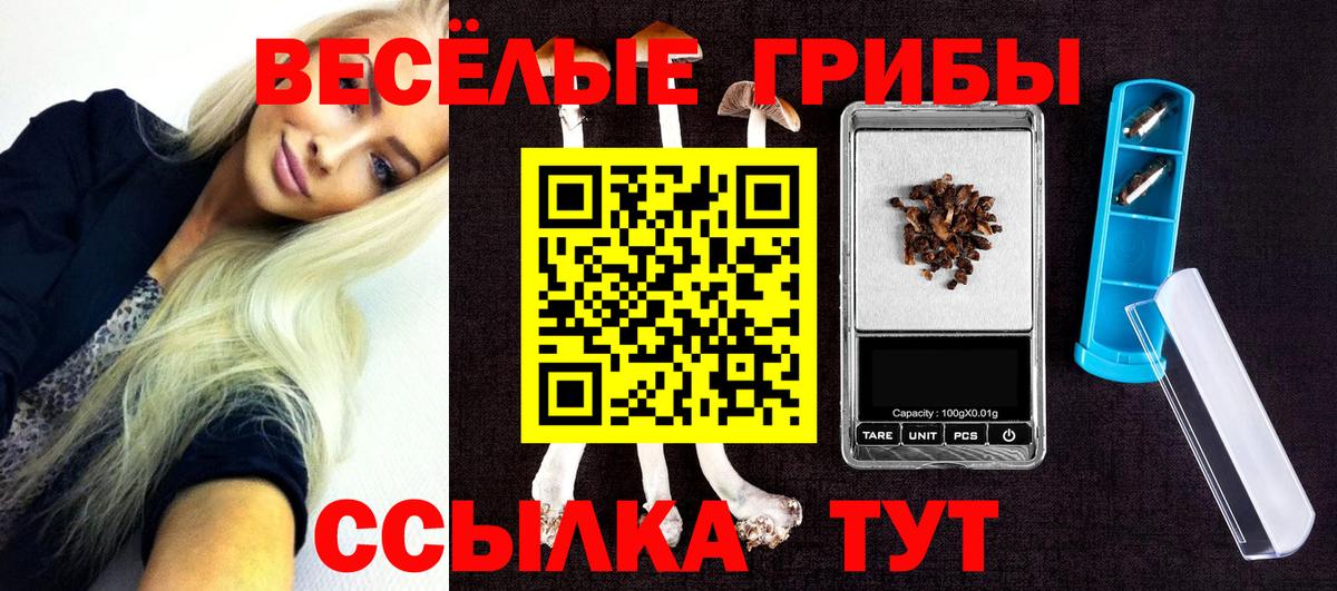 Псилоцибиновые грибы MAGIC MUSHROOMS Арсеньев