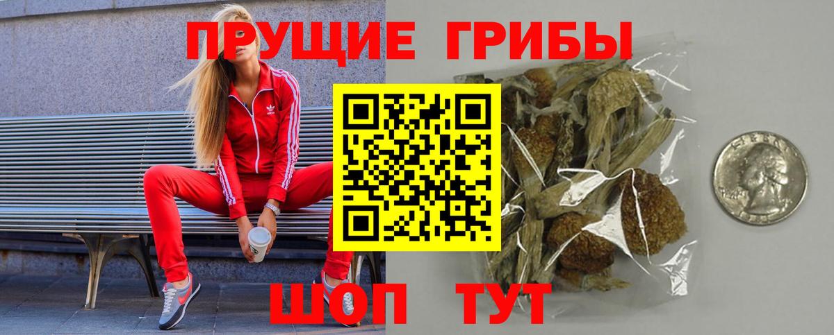 Арсеньев  Галлюциногенные грибы Magic Shrooms  Вход с VPN 